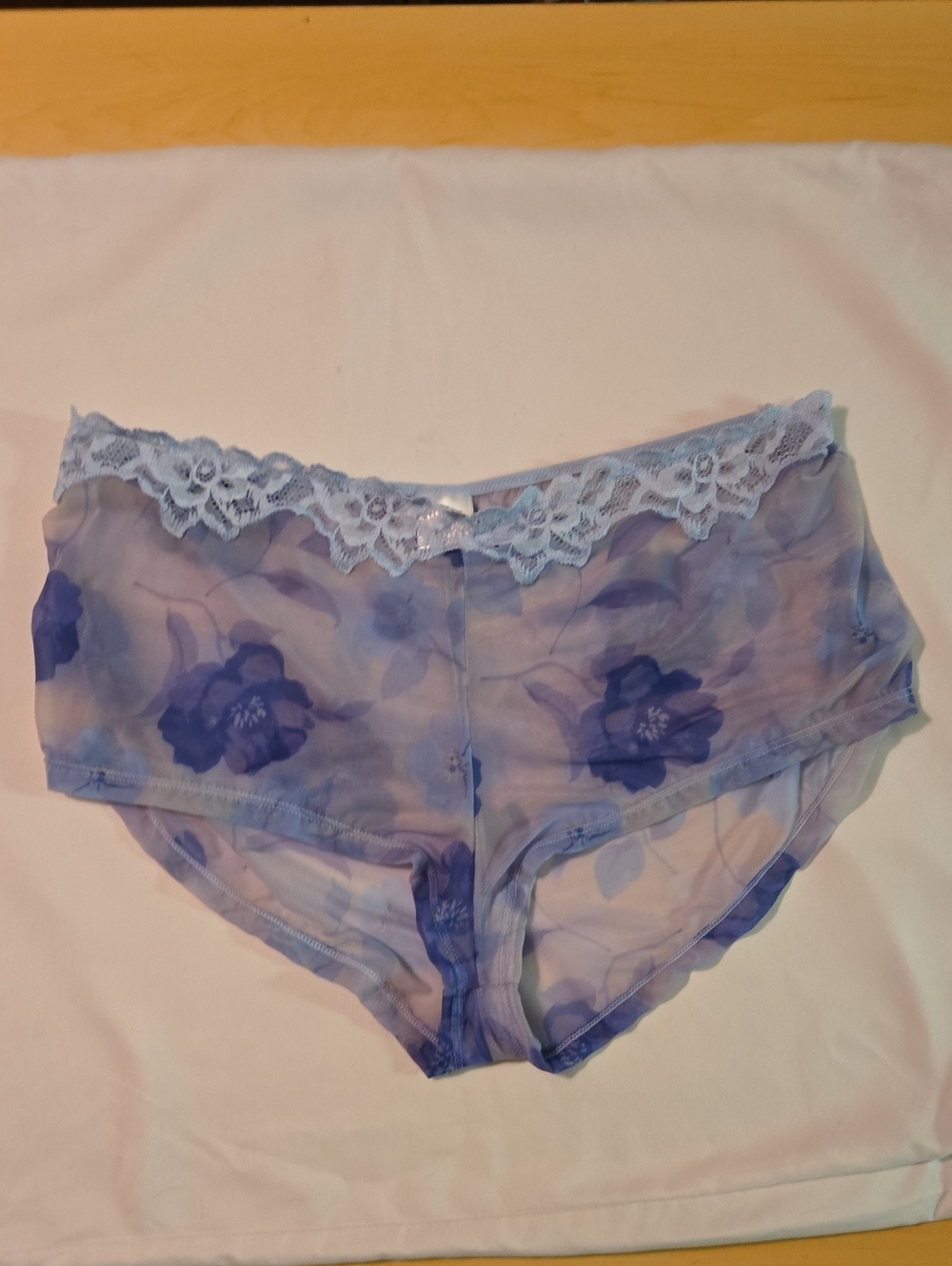 Gilligan & O'Malley Sheer Floral Lace-Trim Boyshort in Blue
